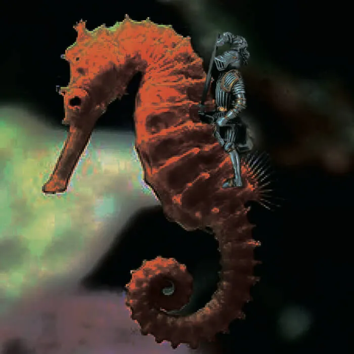 Seahorse Knight